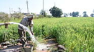 Bhopal 16 Districts See Rise In Electricity Demand Up To 54 