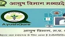 article-image