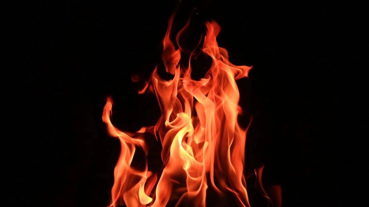 Maharashtra: Woman attempts self-immolation outside Vidhan Bhavan in Nagpur to protest remarks against icons - Vimarsana News