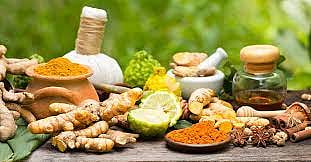 Madhya Pradesh: Government encouraging people to use Ayurvedic medicines, says Ragahuraj Singh Kanshana - Vimarsana News
