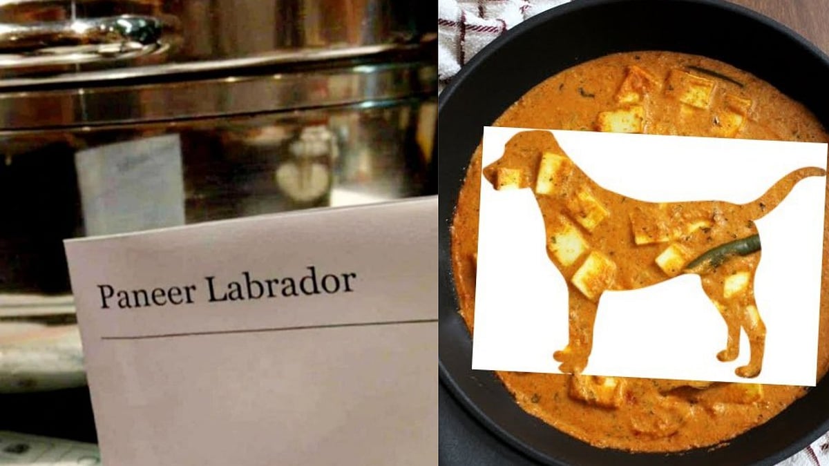 Not paneer lababdar, 'paneer labrador' mentioned in restaurant menu, netizens are furious over the goof-up - Vimarsana News