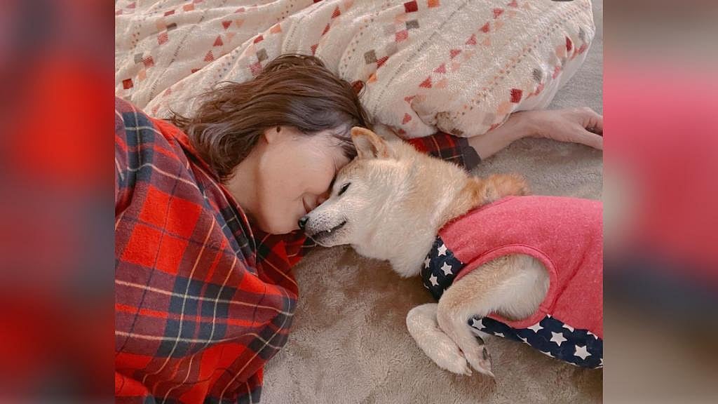 Shiba Inu behind viral 'Doge' meme diagnosed with life threatening diseases - Vimarsana News