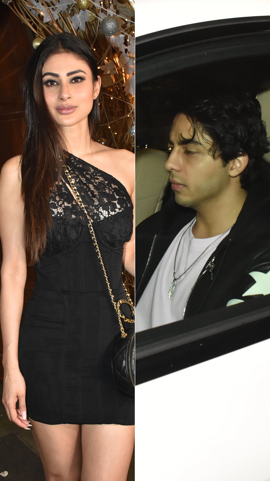 Photos: Aryan Khan, Mouni Roy, others at Mohit Rai's birthday bash