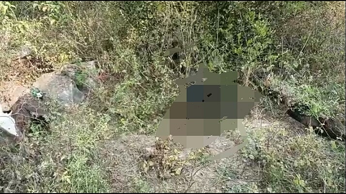 Madhya Pradesh: Mystery disease killing peacocks in Sheopur - Vimarsana News