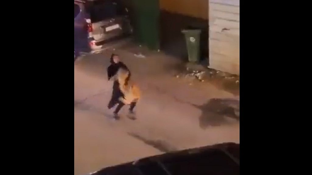 WATCH: Woman carrying pet lion with bare hands, leaves internet in shock - Vimarsana News