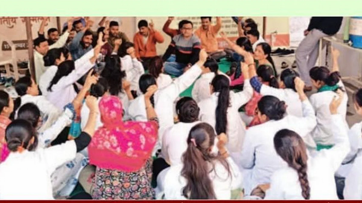 article-image