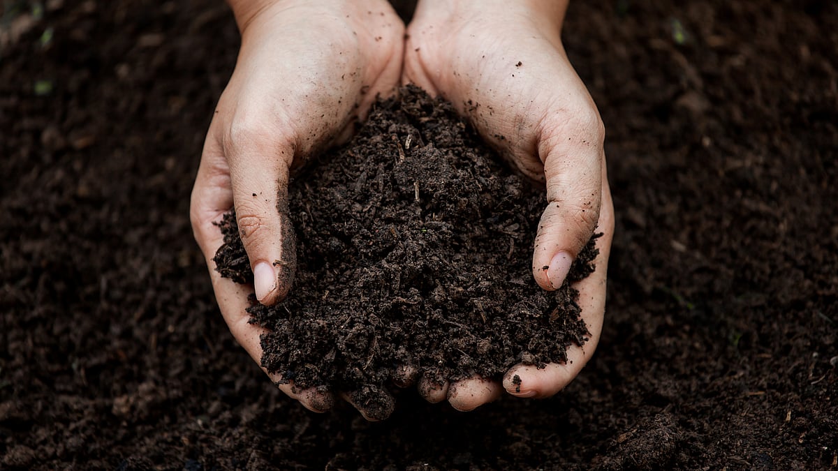 World Soil Day 2022: Importance, significance, theme and history - Vimarsana News