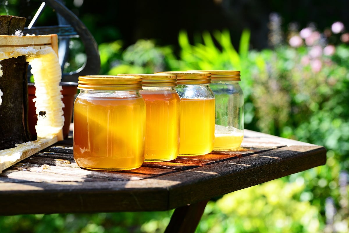9 benefits of the most natural superfood honey you should know about - Vimarsana News