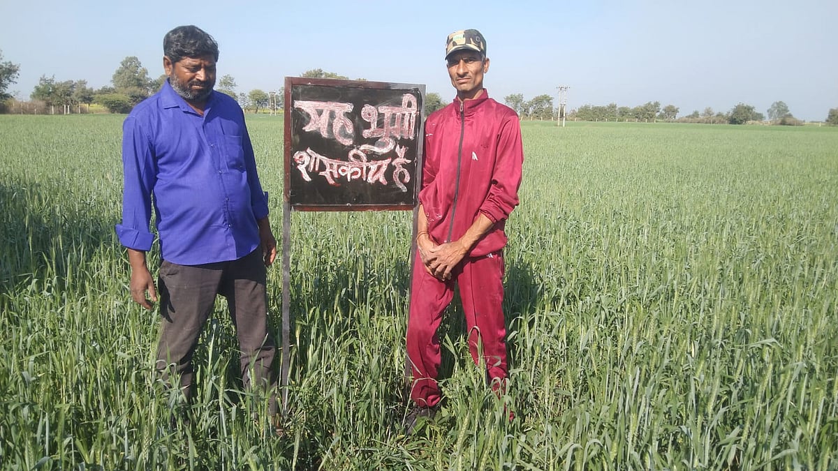 Madhya Pradesh: Encroachment removed from government land in Alot - Vimarsana News