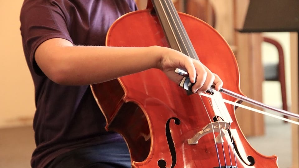 International cello day: Know all about the instrument & the man behind ...