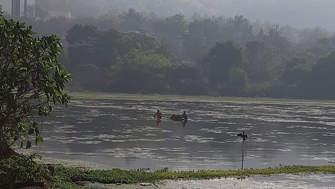 Navi Mumbai: Confirm Lotus Lake wetland status, HC to Govt agency - Vimarsana News