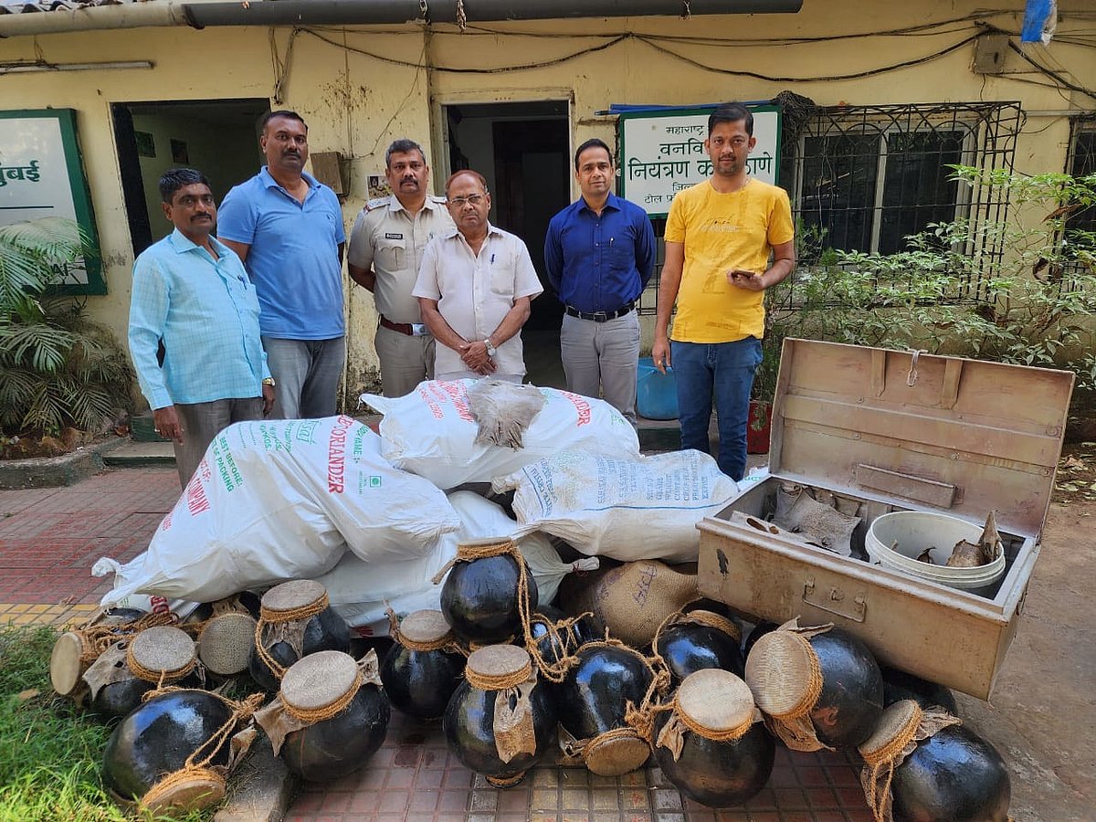 Mumbai: 72-yr-old poaches monitor lizards to make music instrument - Vimarsana News