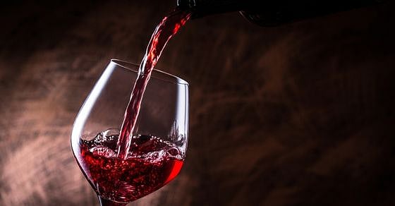 Consulate General of Argentina hosts a lunch to flaunt the Argentinian wines - Vimarsana News