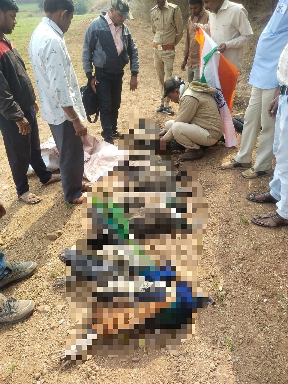 Madhya Pradesh: At least 11 peacocks found dead in Bagh forest area - Vimarsana News