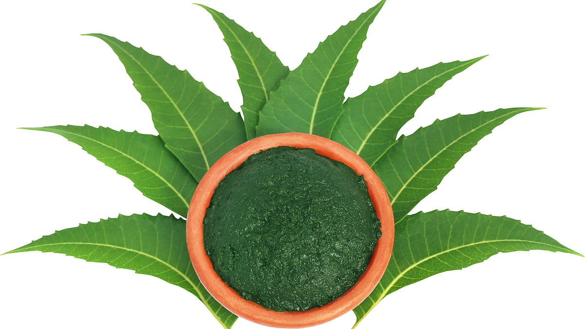 Neem 6 DIY face packs; a complete remedy for all skin types