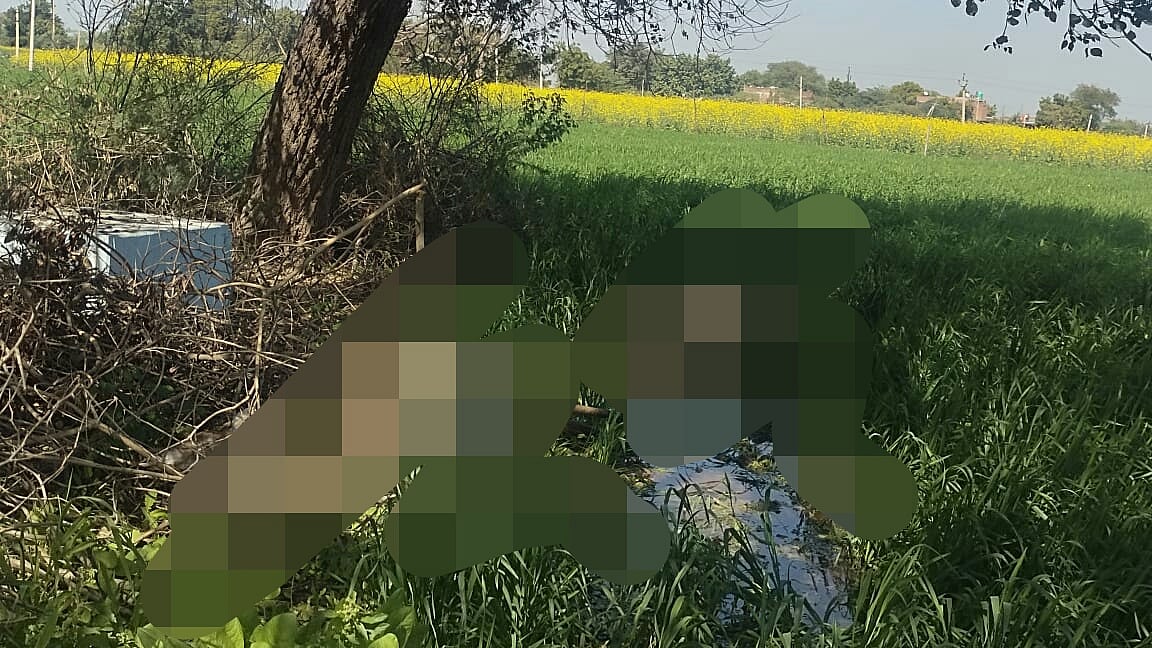 Madhya Pradesh: High voltage current kills 7 Bluebucks in Bhind - Vimarsana News
