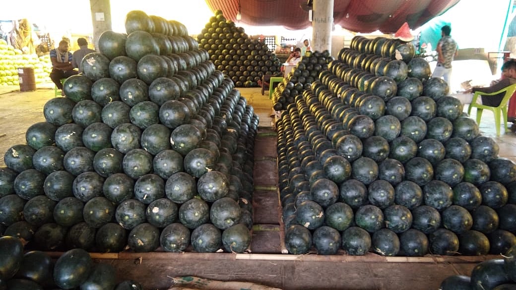 Navi Mumbai Rise in mercury affecting favourite summer fruits