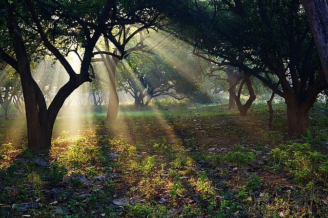Guiding Light: Stop searching for God - Vimarsana News