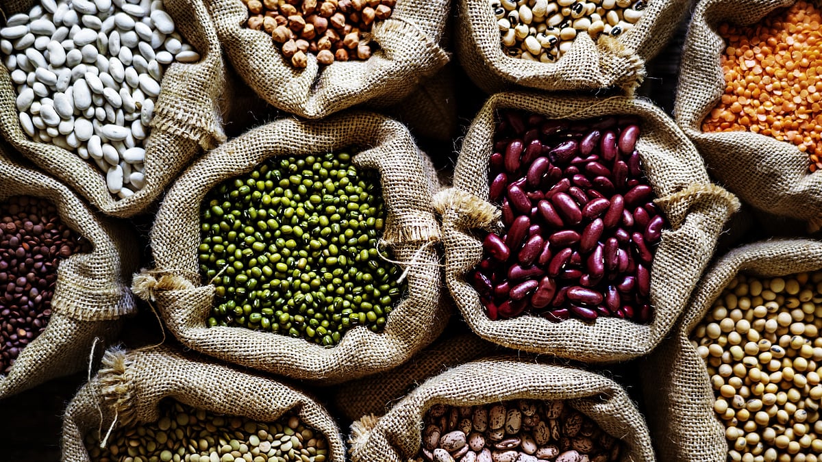 World pulses day 5 Fascinating facts about pulses