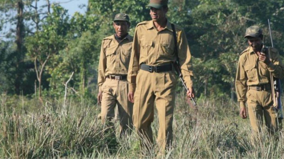 Bhopal: Plan to recruit special forest guards for national parks on anvil - Vimarsana News