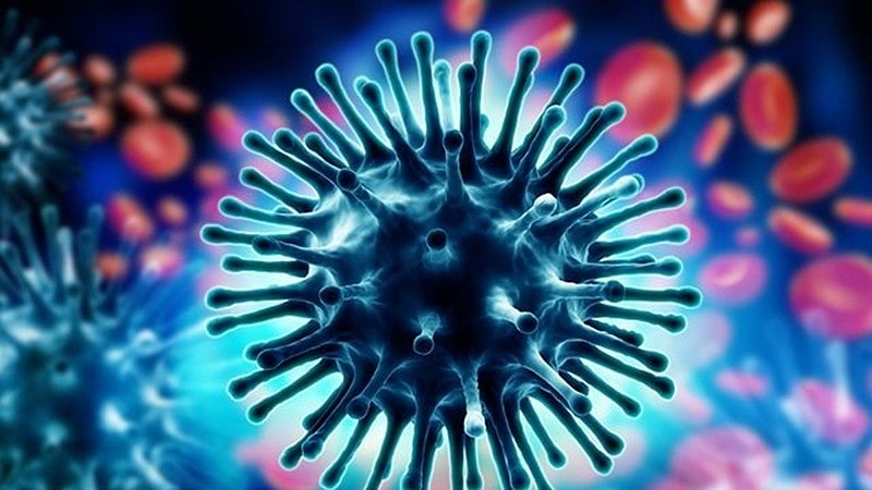 Another human bird flu case in Chinese woman, confirms WHO - Vimarsana News