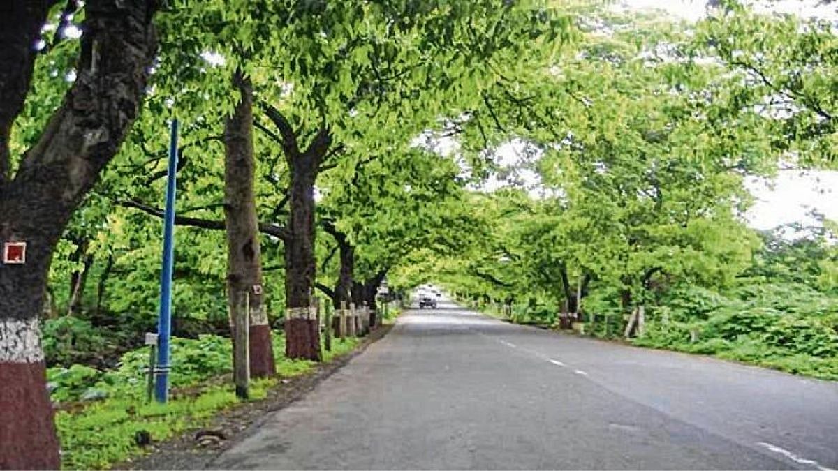 Mumbai: Govt Sends Proposal to BMC To Take Over Repairs, Maintenance Of Internal Roads Of Aarey - Vimarsana News