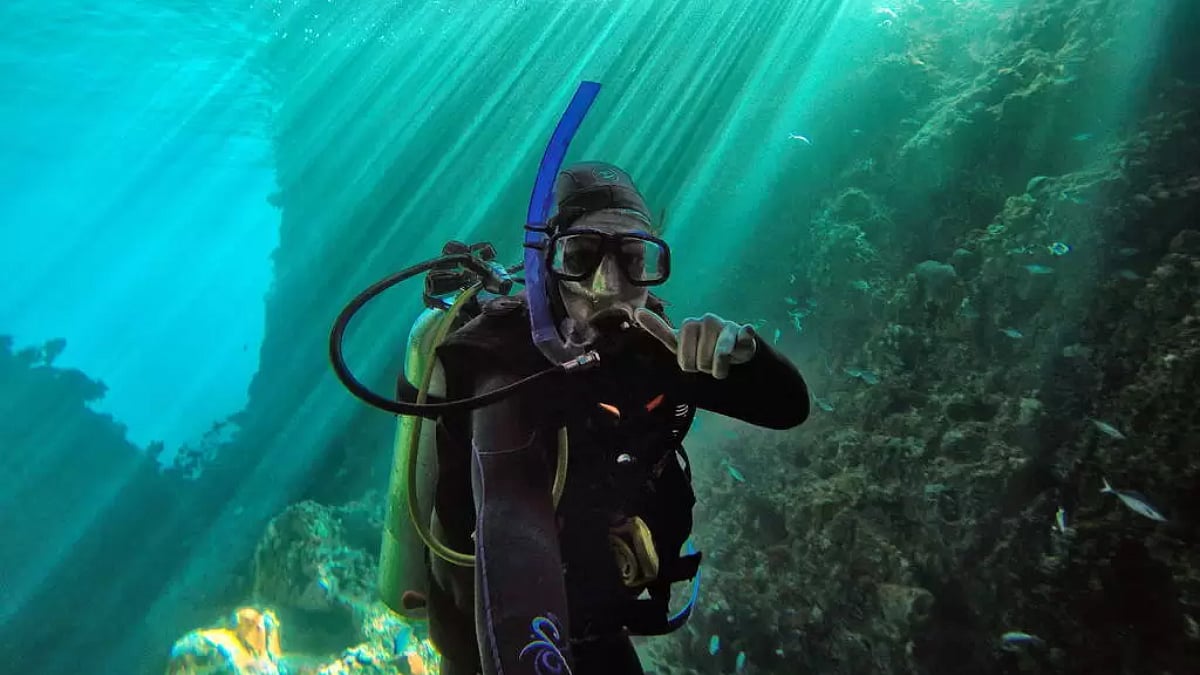 Diving and Snorkeling in New Zealand 6 places for the diver in you