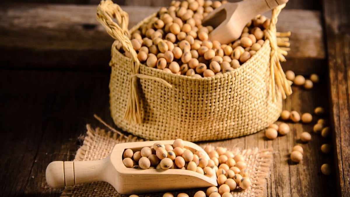 Here's how soybeans can bridge the protein gap