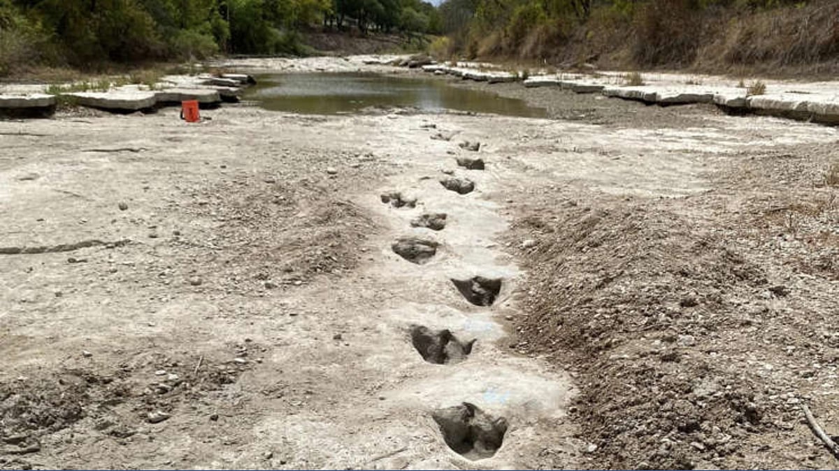 Dinosaur footprints were revealed at a driedup river; check PICS