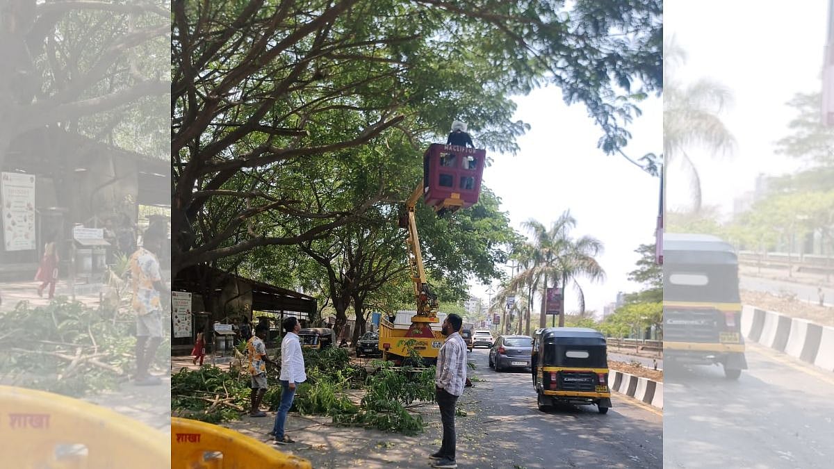 Navi Mumbai: PMC starts tree trimming ahead of monsoon season - Vimarsana News