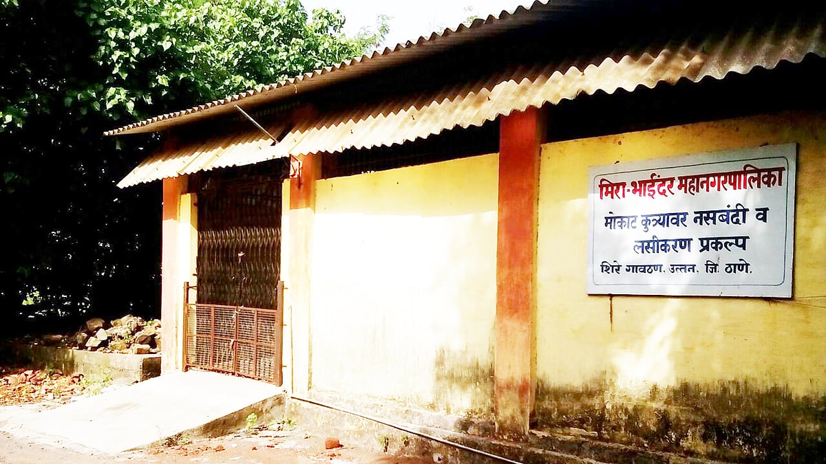 Mira Bhayandar: 100% dog sterilisation a distant dream for MBMC since 2015 - Vimarsana News