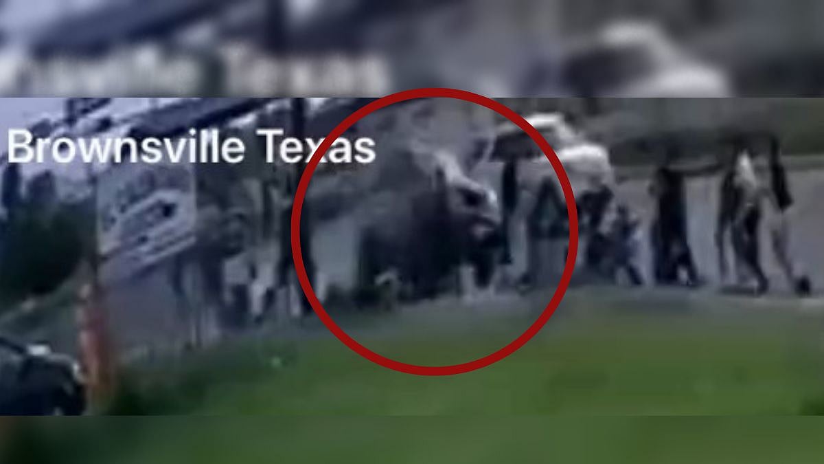 US: 8 dead, several injured after car rams into pedestrians in Texas; disturbing visuals surface - Vimarsana News