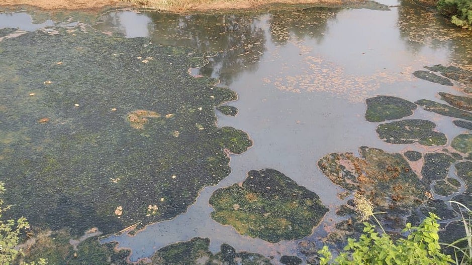 Navi Mumbai: Raigad district admin to hold meeting on Kasardi river conservation - Vimarsana News