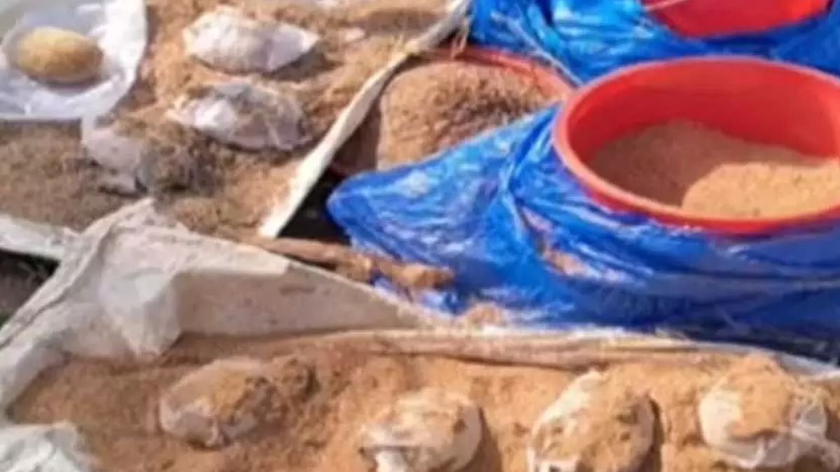 Kerala: 8 country-made bombs found in Kannur district amidst VP Jagdeep Dhankhar's visit, bomb squad defuses them - Vimarsana News