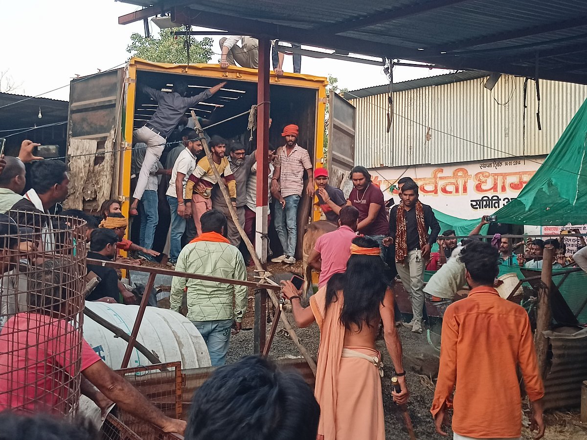 Madhya Pradesh: Mini truck ferrying cattle seized by Ashta police - Vimarsana News