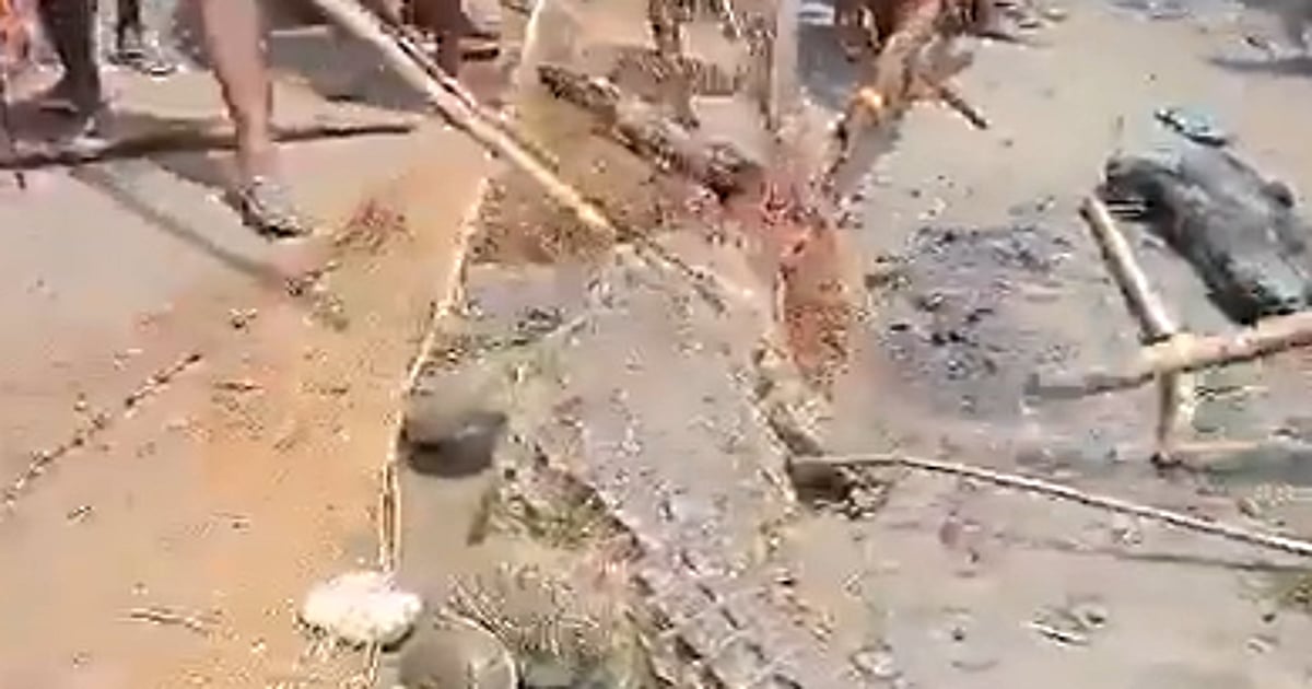 On Camera: Enraged Villagers Kill Crocodile After Fatal Attack On Child In Bihar's Vaishali - Vimarsana News
