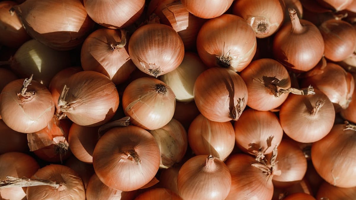 Navi Mumbai: Incessant Rain Wreaks Havoc as Onion Prices Crash at APMC To ₹1-3 Per Kg - Vimarsana News