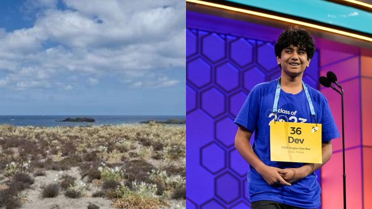 What is 'psammophile'? The word that made Indianorigin Dev Shah win US