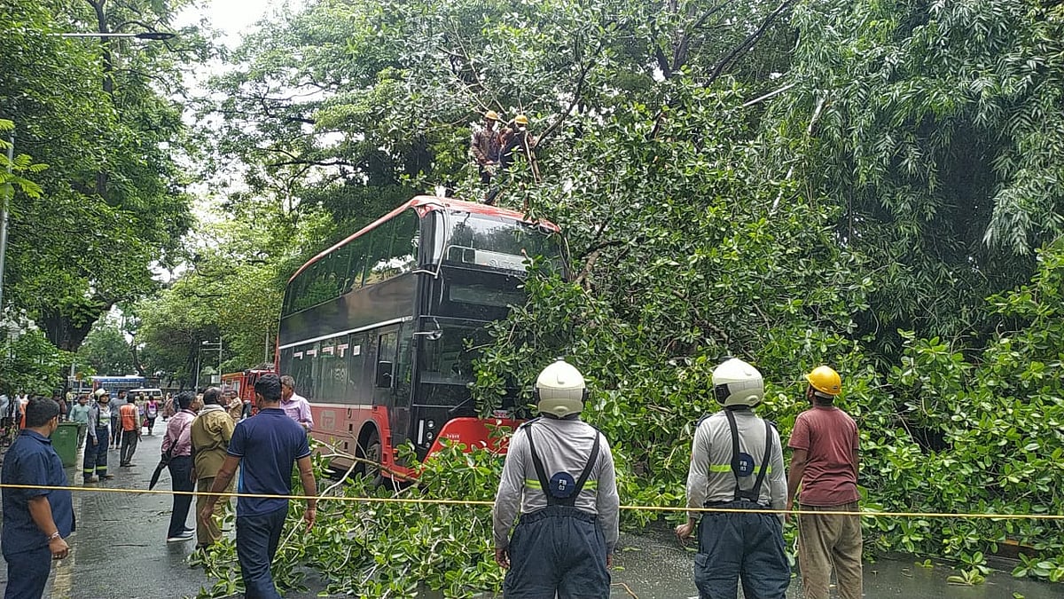 tree collapsed on BEST AC double bus near CSTM