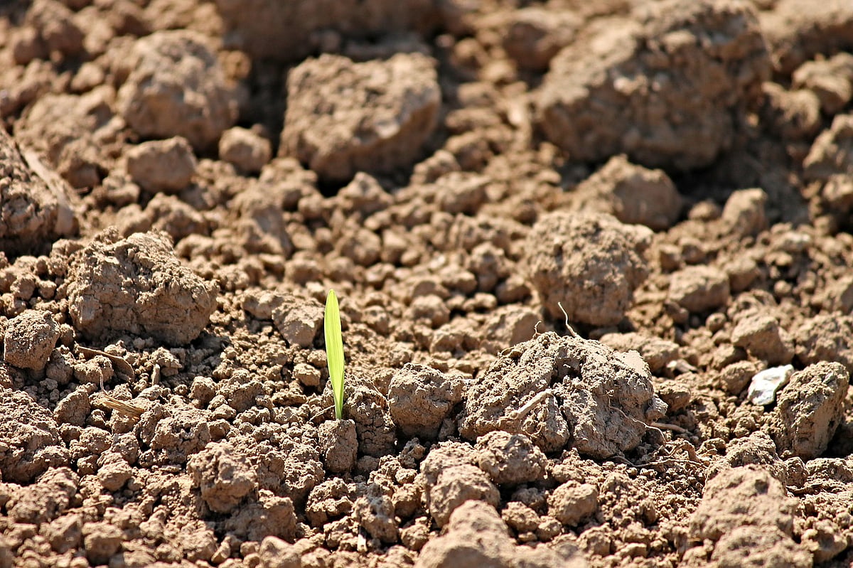 39 Percent Rainfall Deficit In Maharashtra: Centre Reviews Drought Preparedness In Pune Meet - Vimarsana News