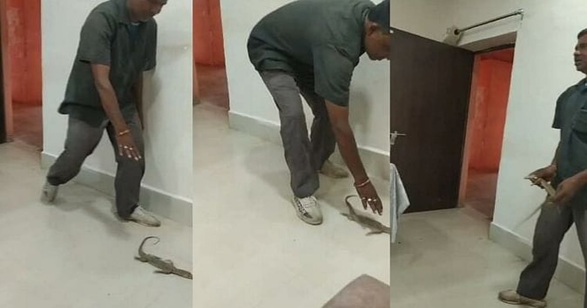 MP: Irked Over Non Allotment Of Land Lease, Tribal Man Brings Monitor Lizard To CMO Chamber In Ashoknagar - Vimarsana News