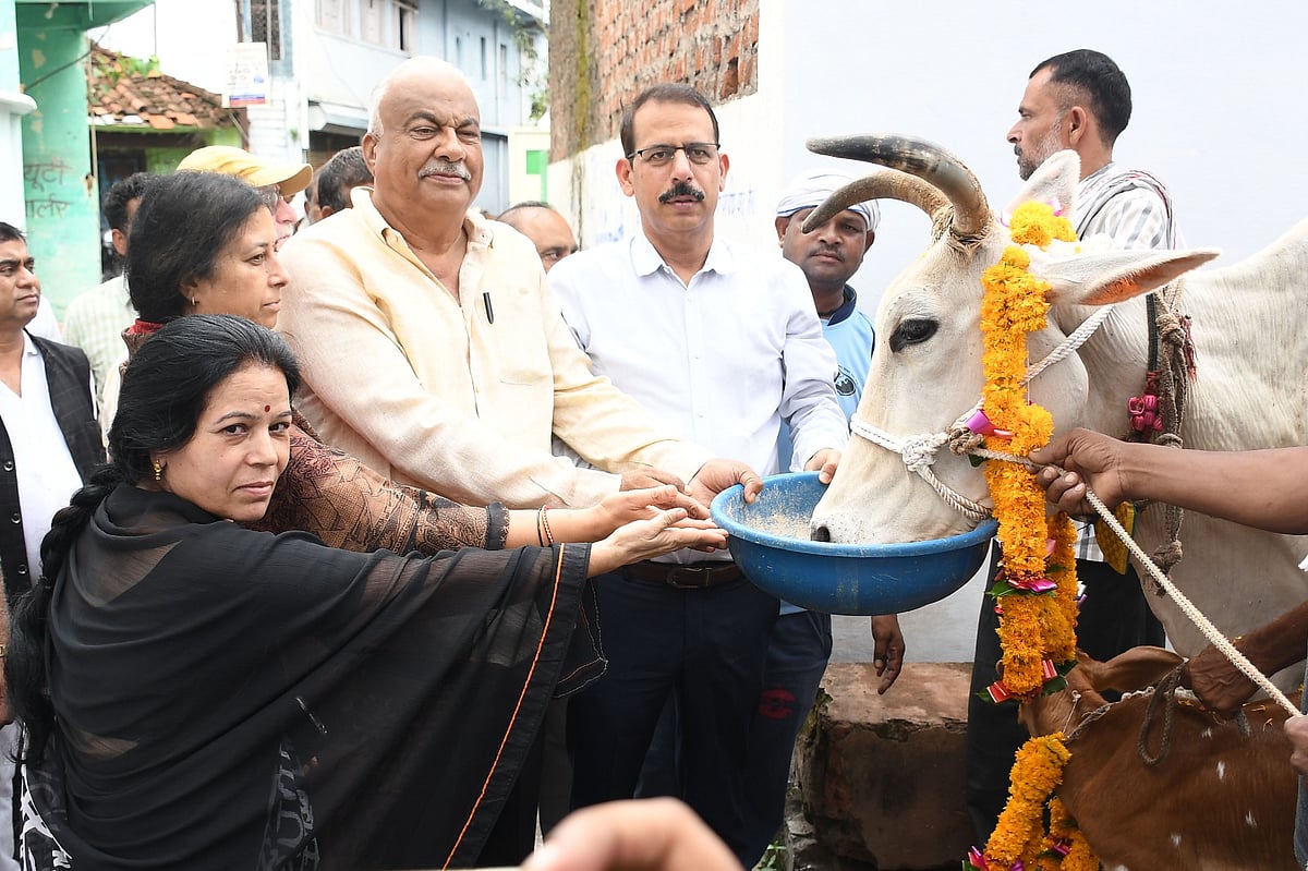 MP: Dairy Owners Feted For Shifting Cattle From City In Sagar - Vimarsana News