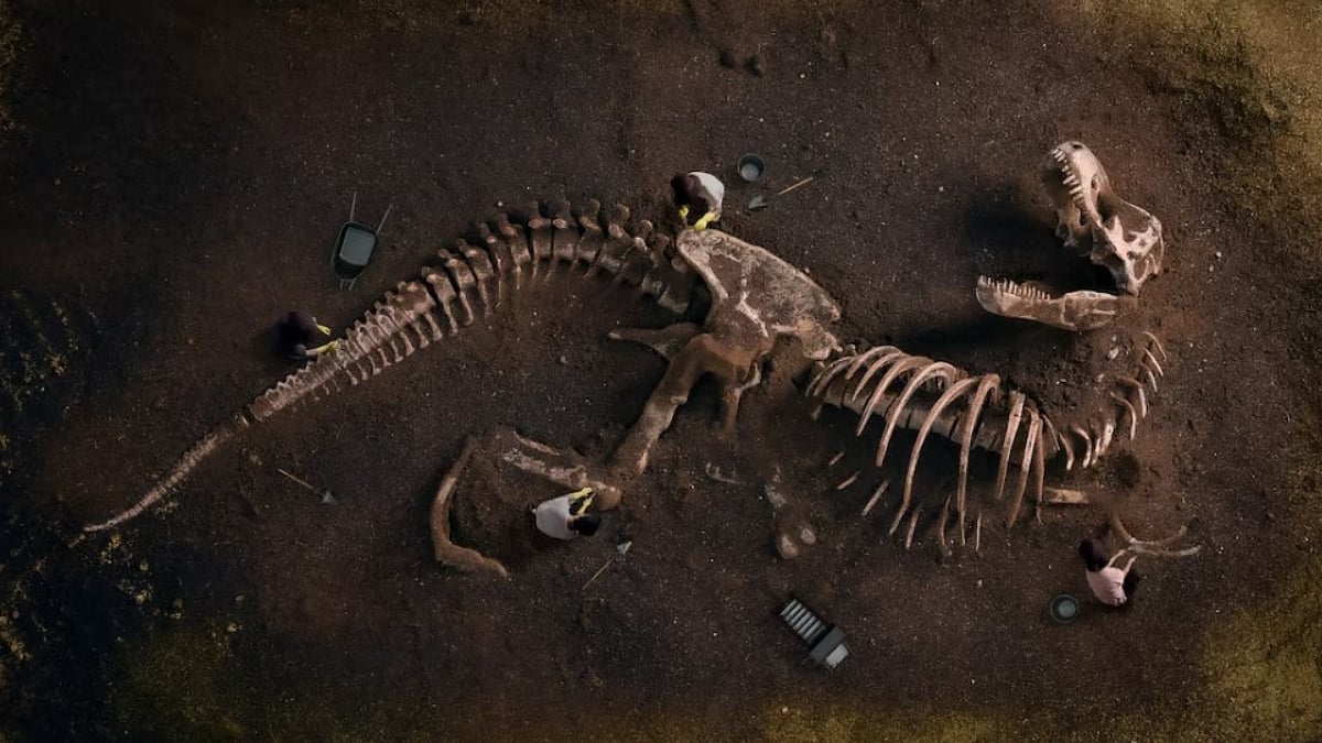 Scientists Discover Oldest Fossil Of Plant Eating Dinosaur In Rajasthan