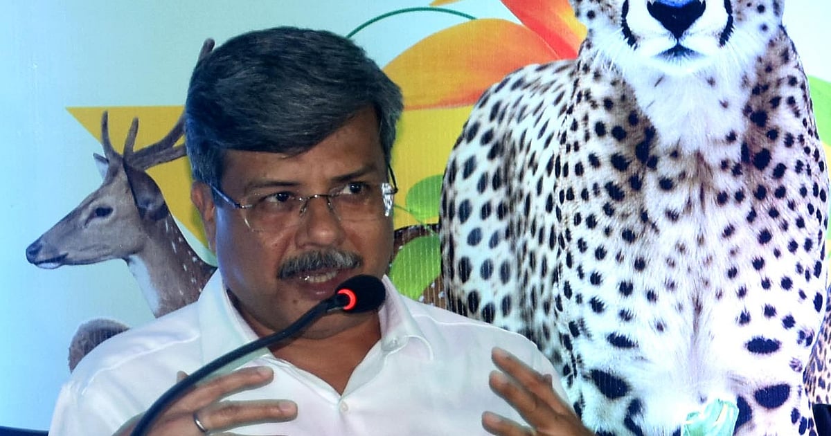 Bhopal: Tourism Dept Comes Up With Kuno Forest Festival & Gandhi Sagar Floating Festival Bhopal: Tourism Dept Comes Up With Kuno Forest Festival & Gandhi Sagar Floating Festival