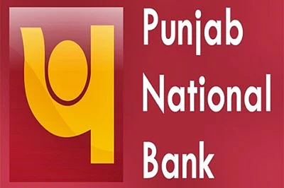 Vulnerability in PNB server exposed 180 mn customers' data for about seven months: CyberX9