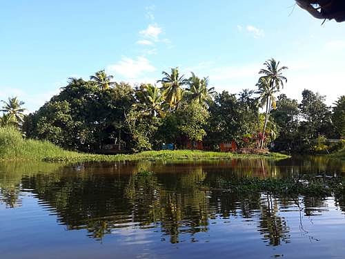 Five immediate steps needed to control environmental damage - Vimarsana News