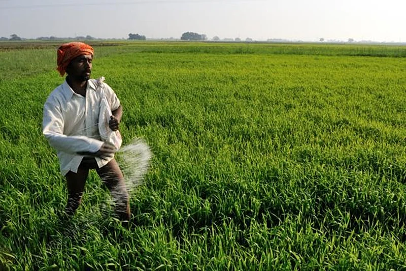 'Priority to interest of farmers': Centre directs fertiliser firms not to hike prices of non-urea...