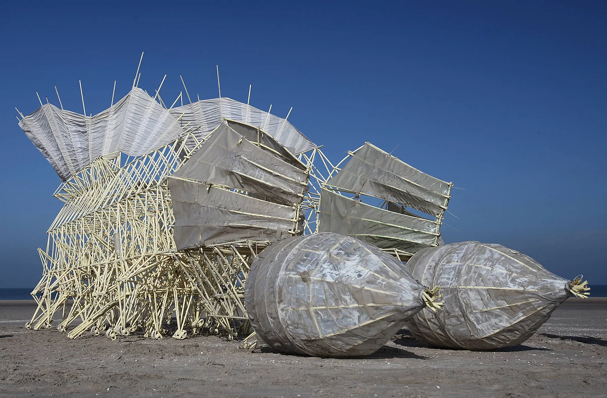 Animaris Gubernare with rolling windstomachs (2011)