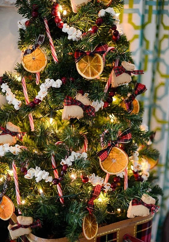 Tree decorated with dried oranges, popcorn, cranberries and cookies.