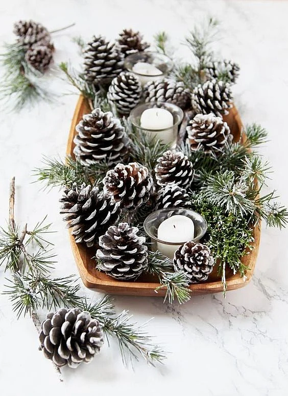 Pinecone Arrangement
